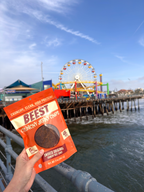 Packaged BEEST beef jerky chips held in front of a Ferris wheel and pier in LA, California